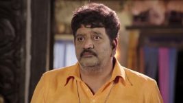 Naag Bhairavi S01 E20 14th February 2025