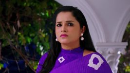 Nindu Noorella Saavasam S01 E479 3rd February 2025