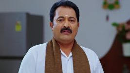 Nindu Noorella Saavasam S01 E489 14th February 2025