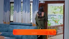 Nindu Noorella Saavasam S01 E492 17th February 2025