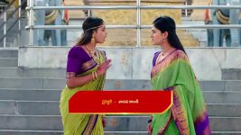 Paape Maa Jeevana Jyothi S01 E1174 Jeevana, Chaitanya Tie the Knot