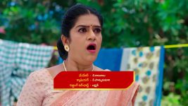 Paape Maa Jeevana Jyothi S01 E1182 Hymavathi Is Upset with Kutti
