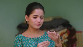 Paaru (Zee Marathi) S01 E346 8th February 2025