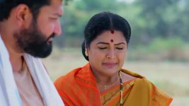 Padamati Sandhyaragam S01 E770 15th February 2025
