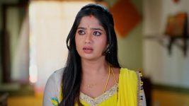 Padamati Sandhyaragam S01 E773 18th February 2025