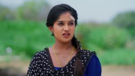 Padamati Sandhyaragam S01 E781 26th February 2025