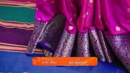 Puttakkana Makkalu S01 E884 4th February 2025