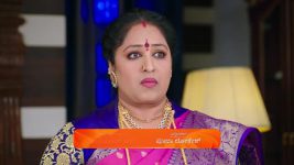 Puttakkana Makkalu S01 E891 11th February 2025