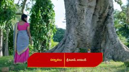 Renuka Yellamma (Star Maa) S01 E567 Karthaveerya Craves Revenge
