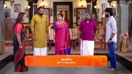 Sandhya Raagam (Tamil) S01 E443 1st February 2025