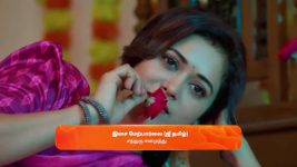 Sandhya Raagam (Tamil) S01 E456 17th February 2025