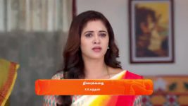 Sandhya Raagam (Tamil) S01 E457 18th February 2025
