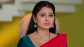 Satyabhama S01 E336 Krish Falls to Pieces