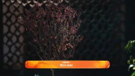 Savlyachi Janu Savali S01 E132 12th February 2025