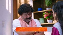 Shravani Subramanya S01 E235 7th February 2025