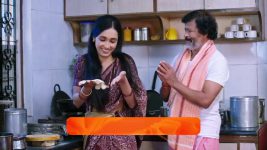 Shravani Subramanya S01 E236 10th February 2025