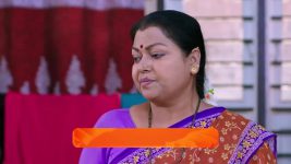 Shravani Subramanya S01 E240 14th February 2025
