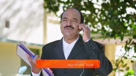 Shrirasthu Shubhamasthu S01 E662 8th February 2025