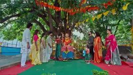 Trinayani (Kannada) S01 E1216 16th February 2025