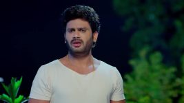 Trinayani (Kannada) S01 E1217 17th February 2025