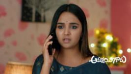Ammayi Garu S01 E724 22nd February 2025