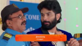 Anna (Tamil) S01 E594 5th February 2025