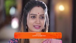 Idhayam S01 E597 11th February 2025