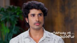 Janaki Ramayya Gari Manavaralu S01 E250 21st February 2025