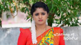 Janaki Ramayya Gari Manavaralu S01 E252 24th February 2025
