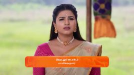 Karthigai Deepam S01 E732 3rd February 2025