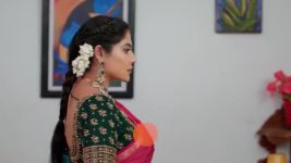 Karthigai Deepam S01 E733 4th February 2025