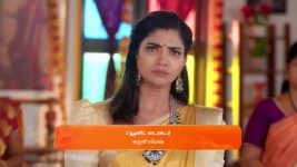 Karthigai Deepam S01 E735 6th February 2025