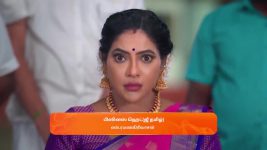 Karthigai Deepam S01 E738 10th February 2025