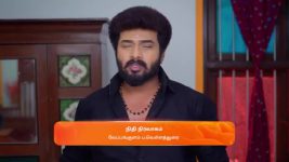Karthigai Deepam S01 E739 11th February 2025