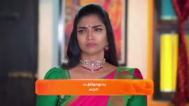 Karthigai Deepam S01 E740 12th February 2025