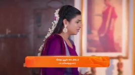 Karthigai Deepam S01 E741 13th February 2025