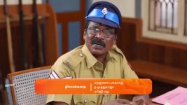 Maari S01 E831 3rd February 2025
