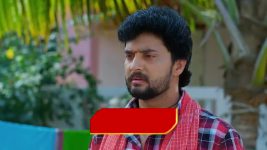 Maguva O Maguva S01 E310 Sindhura Accepts Kesava's Demand