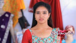 Manasellam (Zee Tamil) S01 E29 20th February 2025