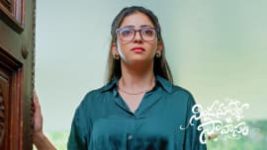 Nindu Noorella Saavasam S01 E495 20th February 2025