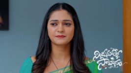 Nindu Noorella Saavasam S01 E498 23rd February 2025
