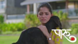 Paaru (Zee Marathi) S01 E356 19th February 2025