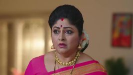 Paluke Bangaramayana S01 E450 Swaragini's Concern for Bobby