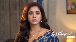 Sandhya Raagam (Tamil) S01 E461 22nd February 2025