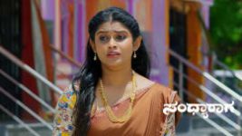 Sandhyaraaga S01 E587 23rd February 2025