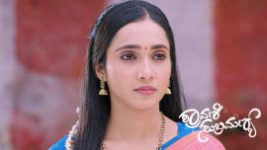 Shravani Subramanya S01 E245 21st February 2025