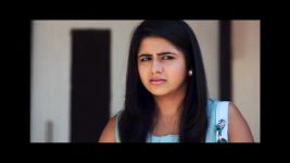 The Buddy Project S14 E15 Piddi has a secret admirer The Buddy Project S14 E15 Piddi has a secret admirer