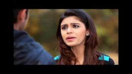 The Buddy Project S15 E08 The buddies search for Panchi The Buddy Project S15 E08 The buddies search for Panchi