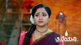 Trinayani (Kannada) S01 E1219 19th February 2025