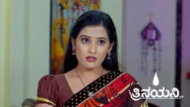 Trinayani (Kannada) S01 E1222 22nd February 2025